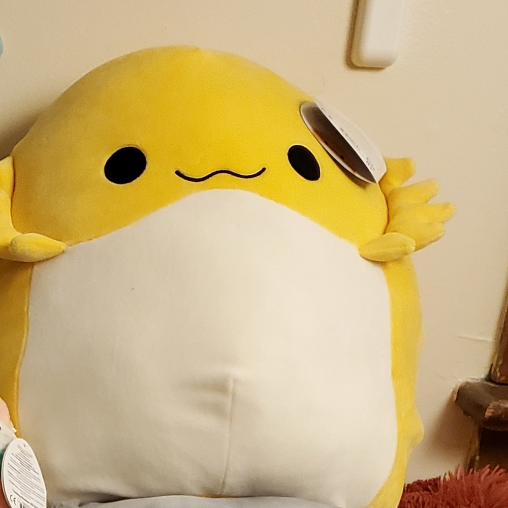 Squishmallow bundle